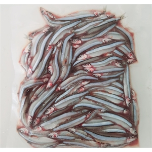 Cá cơm săn (Gói 300g rửa sạch)
